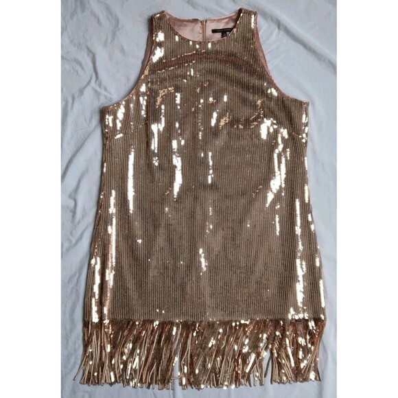Alex Marie Dresses & Skirts - Flapper Dress Lined Champagne Pink 1920s Style Gatsby Sequins Fringe Size 14